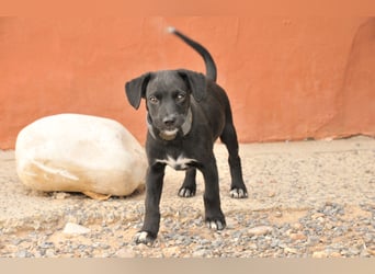 Darf Itzal mit dir die Welt entdecken?