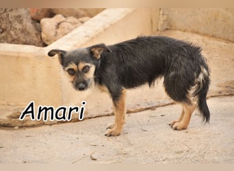 Zeigst du Amari, das Liebe für immer halten kann?