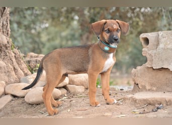 Möchtest du Iggy zeigen, wie schön ein eigenes Zuhause sein kann?