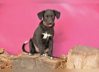 Darf Itzal mit dir die Welt entdecken?