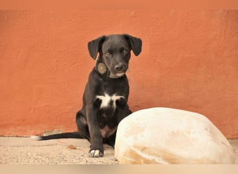 Darf Itzal mit dir die Welt entdecken?