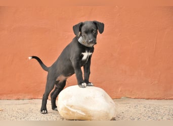 Darf Itzal mit dir die Welt entdecken?