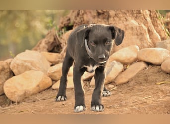 Darf Itzal mit dir die Welt entdecken?