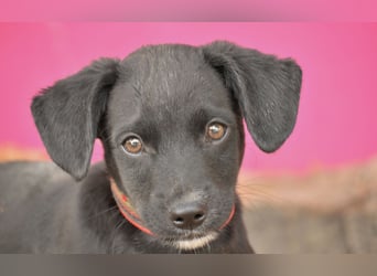 Darf Itzal mit dir die Welt entdecken?