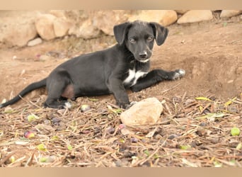 Darf Itzal mit dir die Welt entdecken?