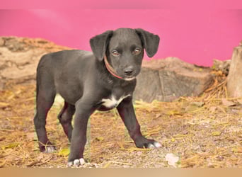 Darf Itzal mit dir die Welt entdecken?