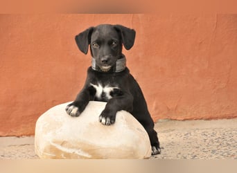 Darf Itzal mit dir die Welt entdecken?