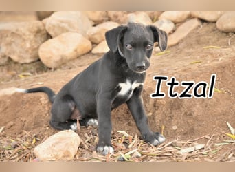 Darf Itzal mit dir die Welt entdecken?