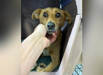 RHIANNA braucht Hilfe um zu überleben