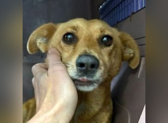 RHIANNA braucht Hilfe um zu überleben