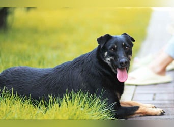 Menschenbezogene Lana sucht ihre Familie