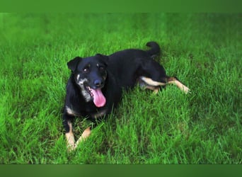 Menschenbezogene Lana sucht ihre Familie