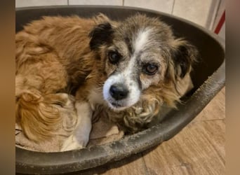 Unser zauberhafte Soul sucht Menschen mit großem Herz