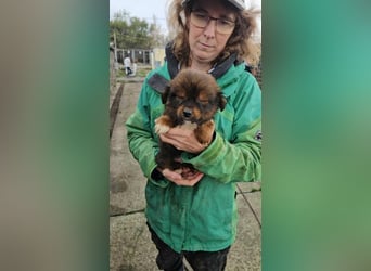 Kosmas sucht Kuschelplatz