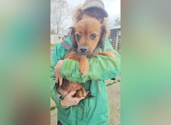 Kleine Gina sucht ihr Glück