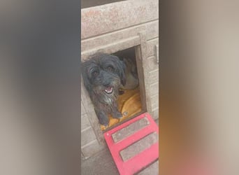 Layla möchte geliebt werden