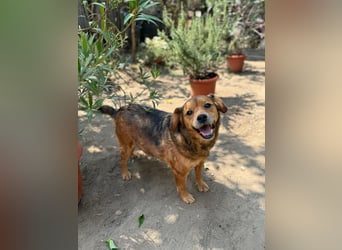 Wunderhübscher Bub möchte Rumänien vor dem kalten Winter dort verlassen