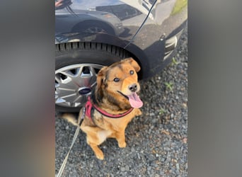 Wunderhübscher Bub möchte Rumänien vor dem kalten Winter dort verlassen