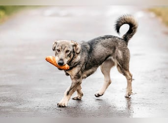 Schlaue Maya sucht liebevolles Zuhause