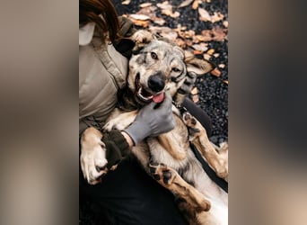 Schlaue Maya sucht liebevolles Zuhause