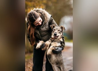 Schlaue Maya sucht liebevolles Zuhause