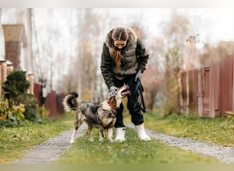 Schlaue Maya sucht liebevolles Zuhause