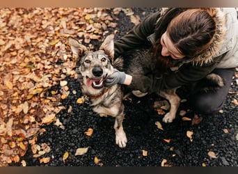 Schlaue Maya sucht liebevolles Zuhause