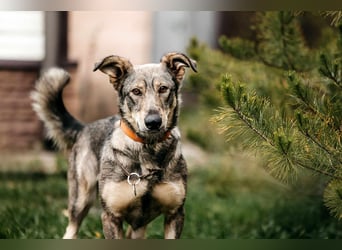 Schlaue Maya sucht liebevolles Zuhause