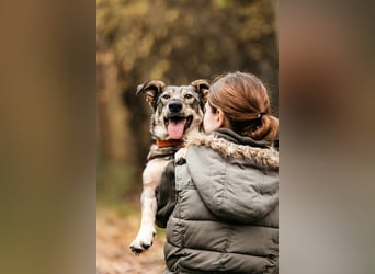 Schlaue Maya sucht liebevolles Zuhause