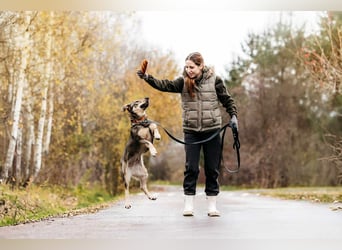 Schlaue Maya sucht liebevolles Zuhause