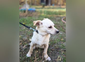 Bob BE – hätte gerne eine liebe Familie