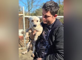 Bob BE – hätte gerne eine liebe Familie