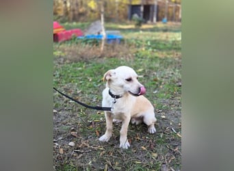 Bob BE – hätte gerne eine liebe Familie