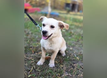 Bob BE – hätte gerne eine liebe Familie