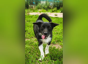 Barney – kleiner Kämpfer mit großem Herz für ALLE