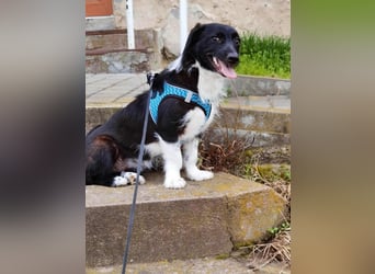 Barney – kleiner Kämpfer mit großem Herz für ALLE