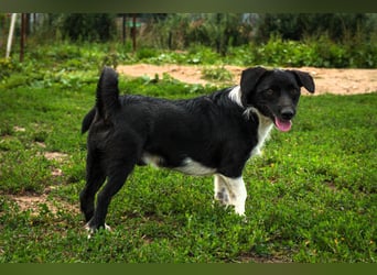 Barney – kleiner Kämpfer mit großem Herz für ALLE