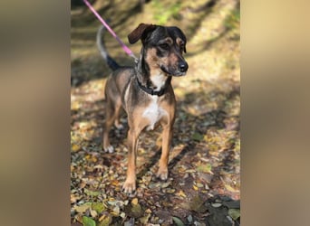 Pircsi, 2 Jahre, 42cm sucht erfahrene Hände