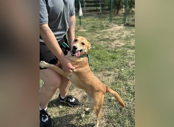 Wendy, geboren 07.2018, 42cm sucht ihr Für-Immer-Zuhause