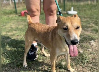 Wendy, geboren 07.2018, 42cm sucht ihr Für-Immer-Zuhause