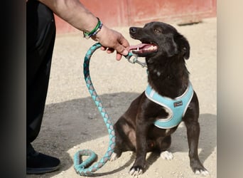 Arthur -  lässt sich gerne anfassen, zutraulich und neugierig