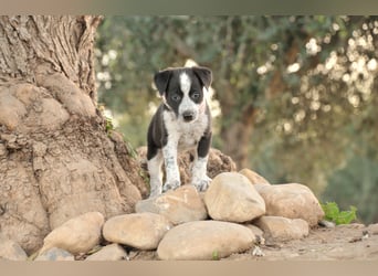 Darf Claudia an deiner Seite die Welt entdecken?