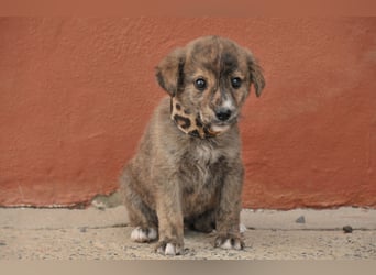 Möchtest du Tomali zeigen, wie schön ein eigenes Zuhause sein kann?