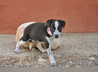 Darf Claudia an deiner Seite die Welt entdecken?