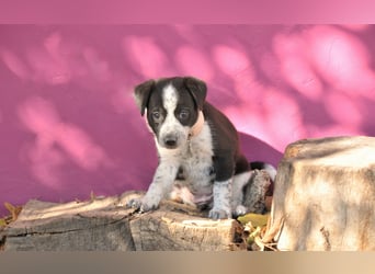 Darf Claudia an deiner Seite die Welt entdecken?