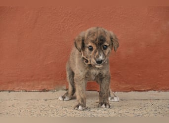 Möchtest du Tomali zeigen, wie schön ein eigenes Zuhause sein kann?