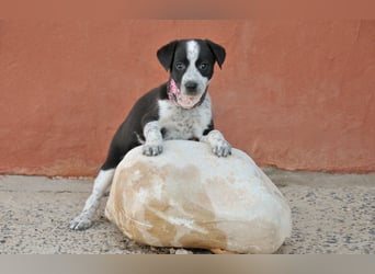 Darf Claudia an deiner Seite die Welt entdecken?