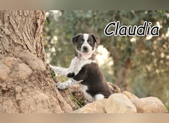 Darf Claudia an deiner Seite die Welt entdecken?