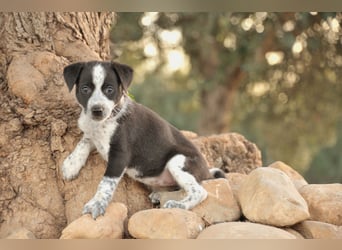 Darf Claudia an deiner Seite die Welt entdecken?