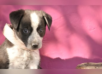 Darf Claudia an deiner Seite die Welt entdecken?